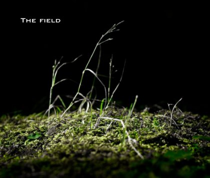 The field book cover