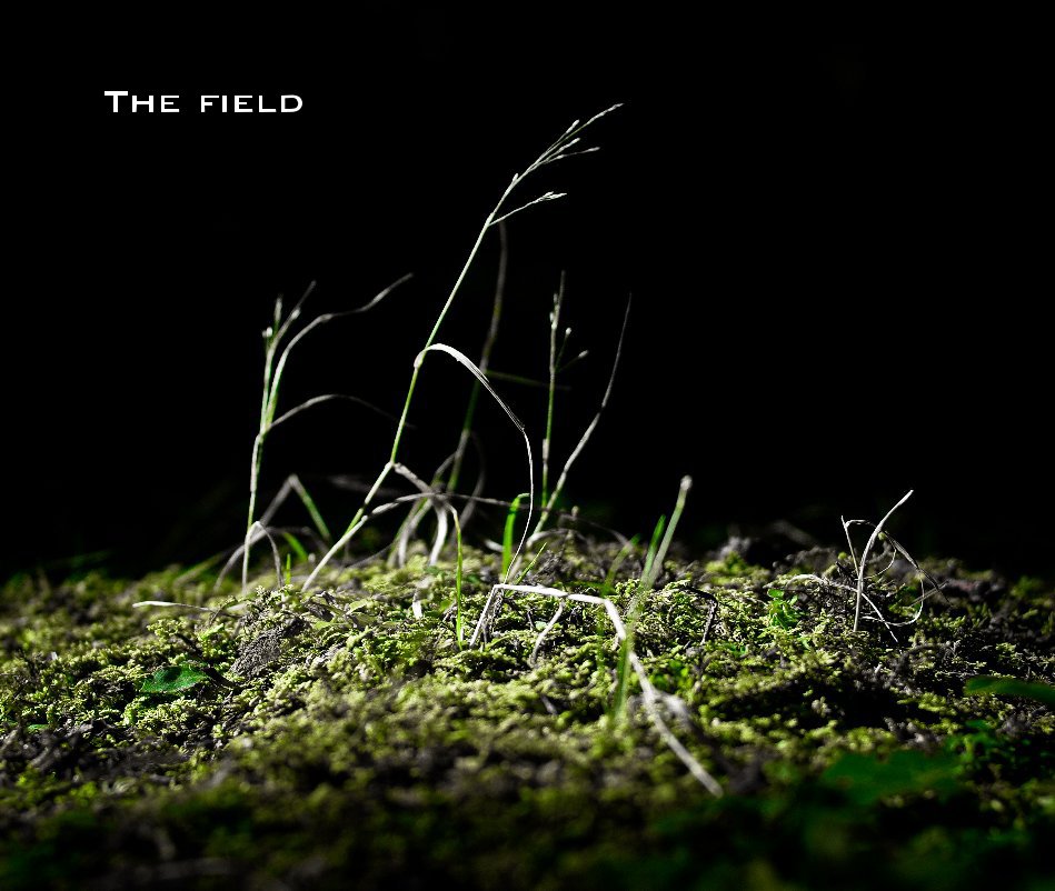 View The field by HW