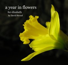 a year in flowers book cover