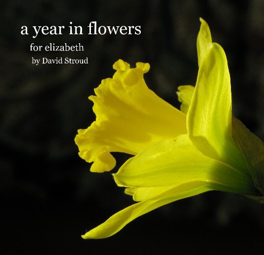Visualizza a year in flowers di David Stroud