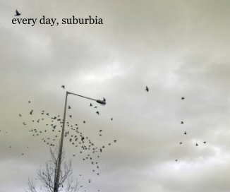 every day, suburbia book cover