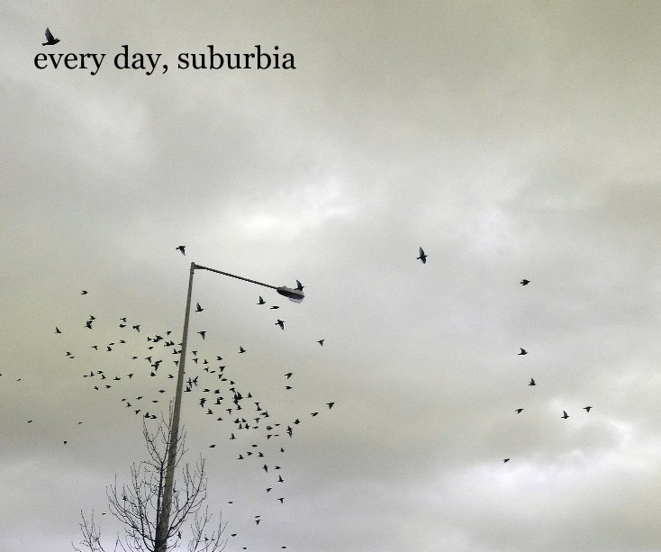 View every day, suburbia by Johanna Preuss