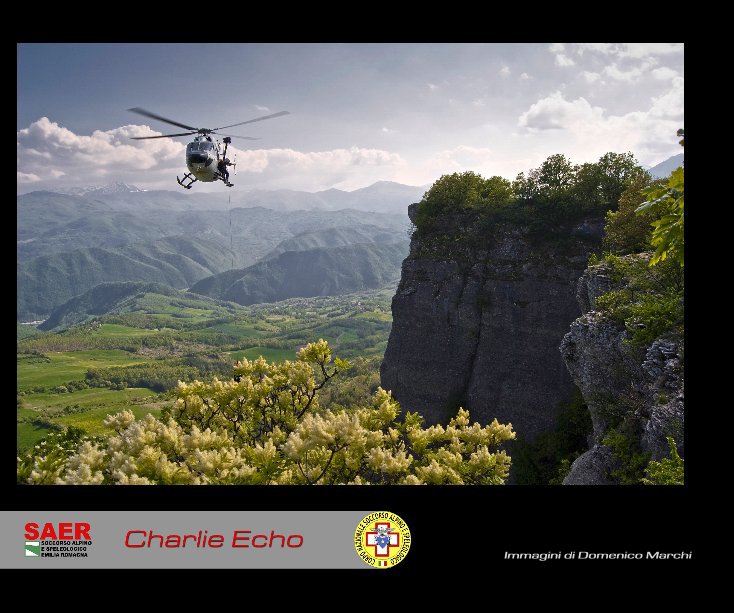 View Charlie Echo Helicopter by Domenico Marchi