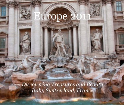 Europe 2011 Discovering Treasures and Beauty Italy, Switzerland, France book cover