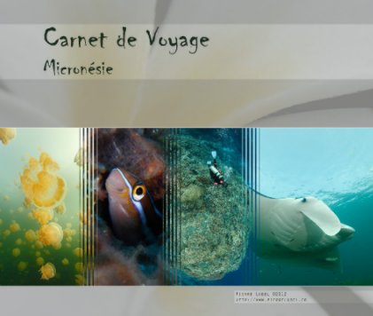 Micronésie (grand format paysage) book cover