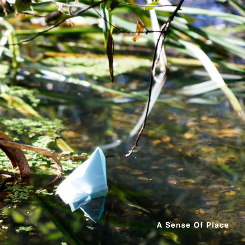 View A Sense Of Place (Softcover) by Compass Community Arts