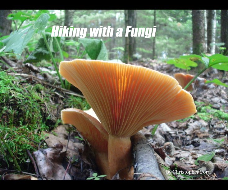 View Hiking with a Fungi by Christopher Ford