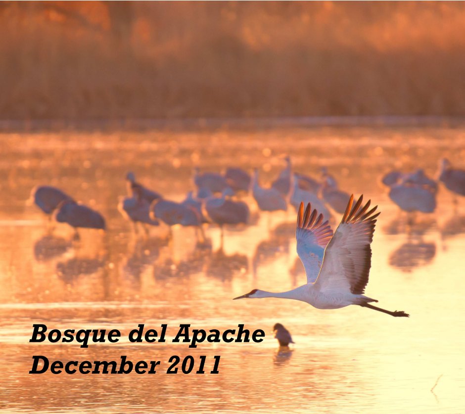 View Bosque del Apache by Dave Muller