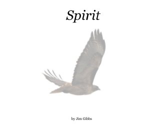 Spirit book cover