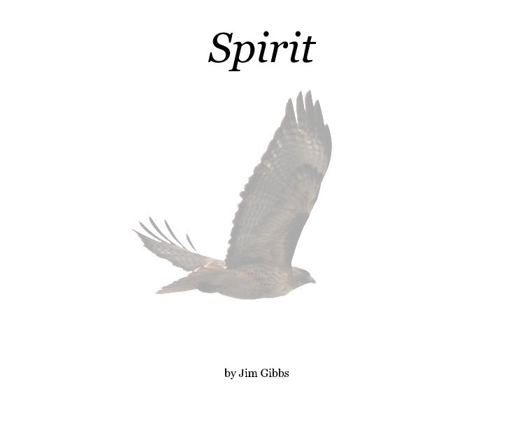 Ver Spirit por Jim Gibbs