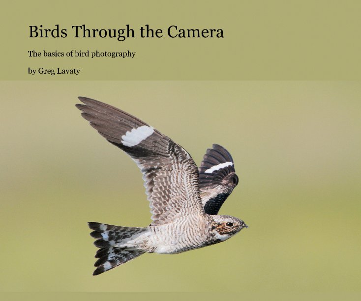 View Birds Through the Camera by Greg Lavaty