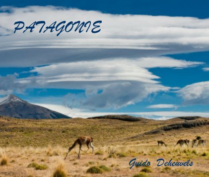 PATAGONIE book cover