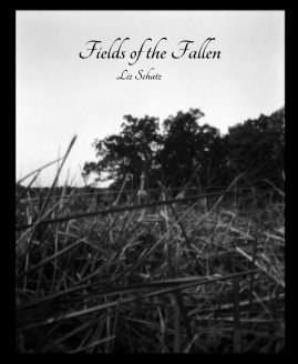 Fields of the Fallen Liz Schatz book cover