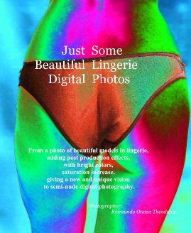 Just Some Beautiful Lingerie Digital Photos book cover