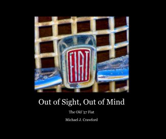 Out of Sight, Out of Mind book cover