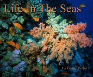 Life In The Seas book cover