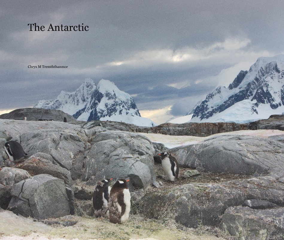View The Antarctic by Chrys M Tremththanmor