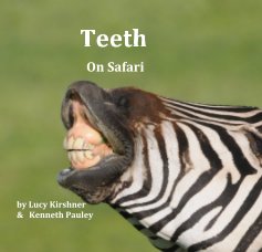 Teeth book cover