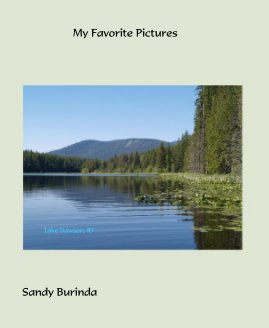 My Favorite Pictures book cover