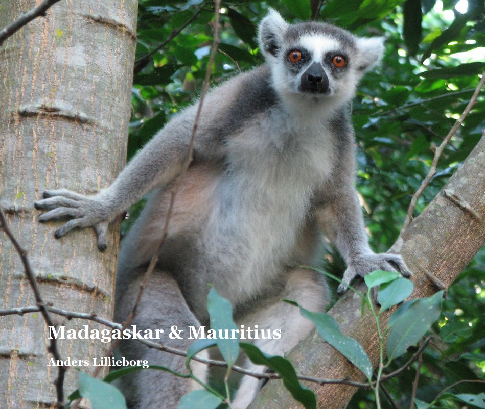 Visualizza Madagaskar och Mauritius di Anders Lillieborg