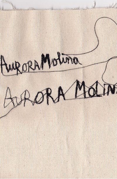 Visualizza Aurora Molina di Aurora Molina