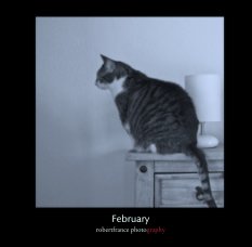 February book cover