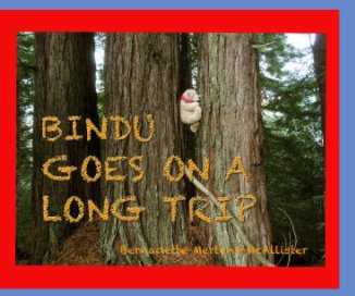 Bindu Goes on a Long Trip. book cover