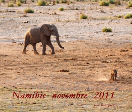 Namibie novembre 2011 book cover