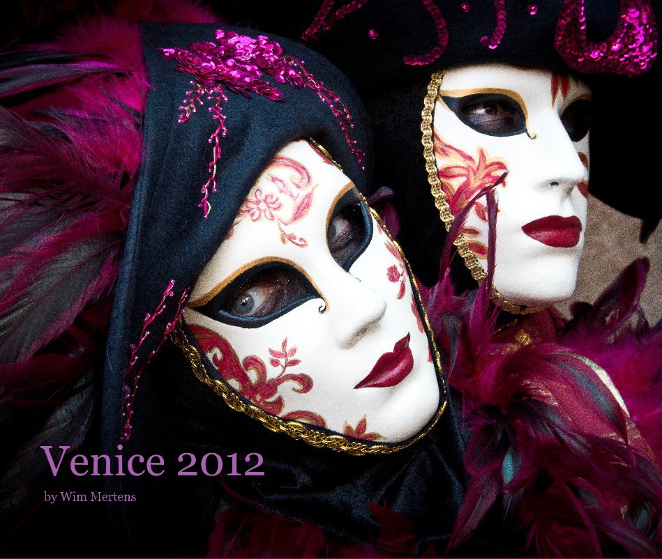 View Venice 2012 by Wim Mertens
