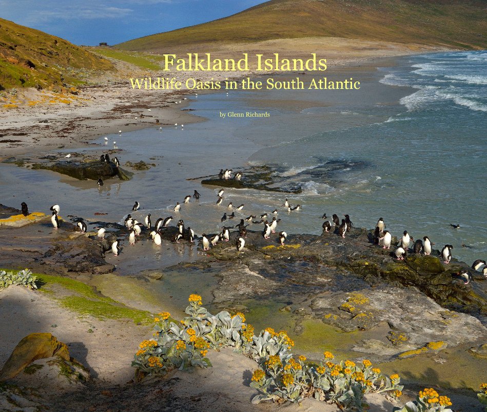 Visualizza Falkland Islands Wildlife Oasis in the South Atlantic di Glenn Richards