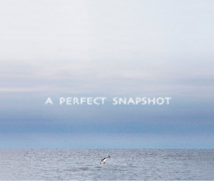 A Perfect Snapshot
(11x13) book cover