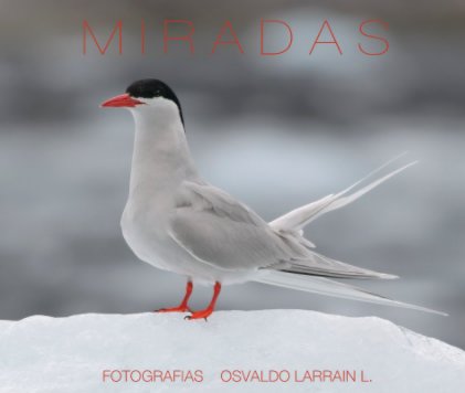 Miradas book cover