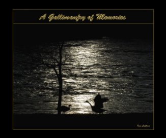 A Gallimaufry of Memories book cover