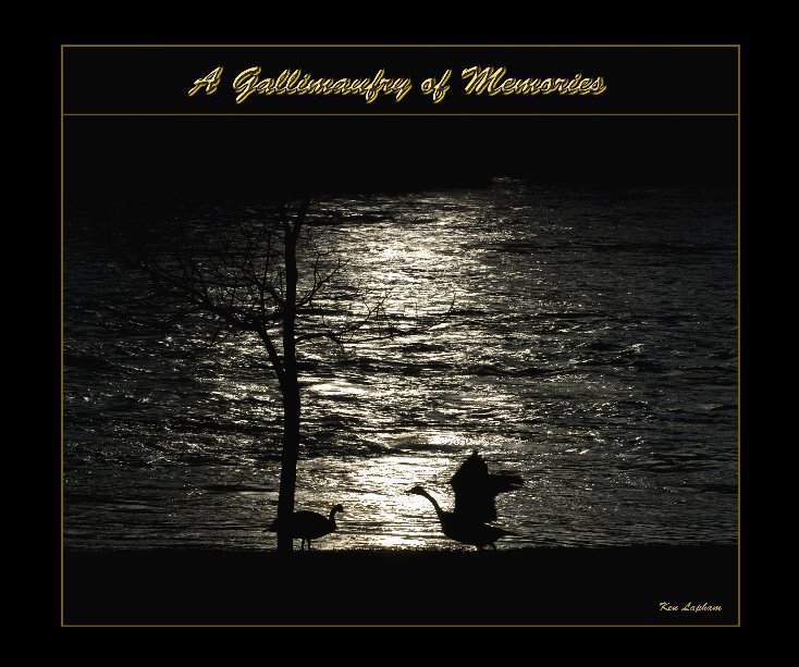 View A Gallimaufry of Memories by Ken Lapham