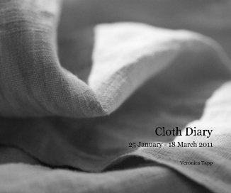 Cloth Diary book cover