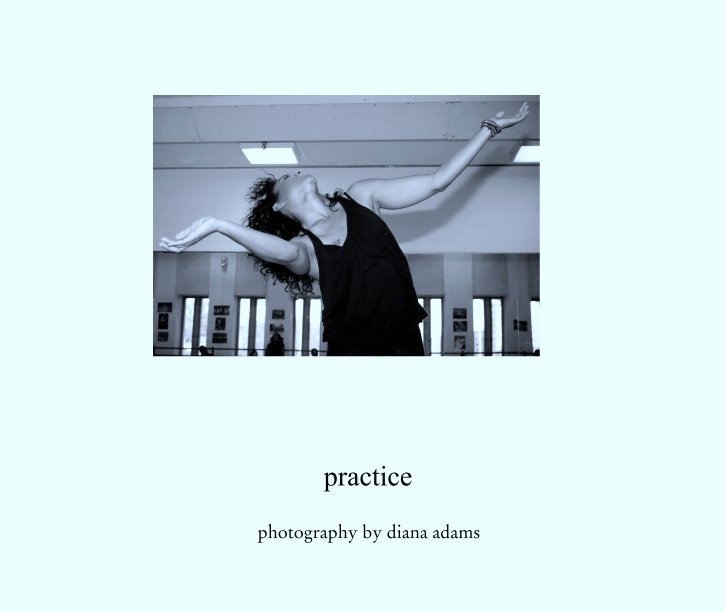 View practice by photography by diana adams
