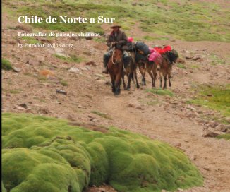 paisajes de chile 2 book cover