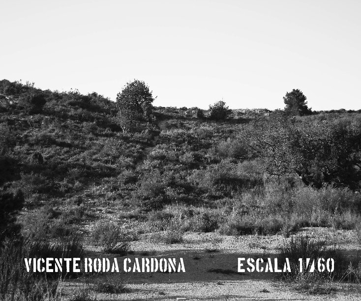 View Escala 1 / 60 by Vicente Roda Cardona