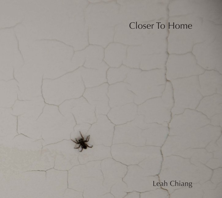 Visualizza Closer to Home di Leah Chiang