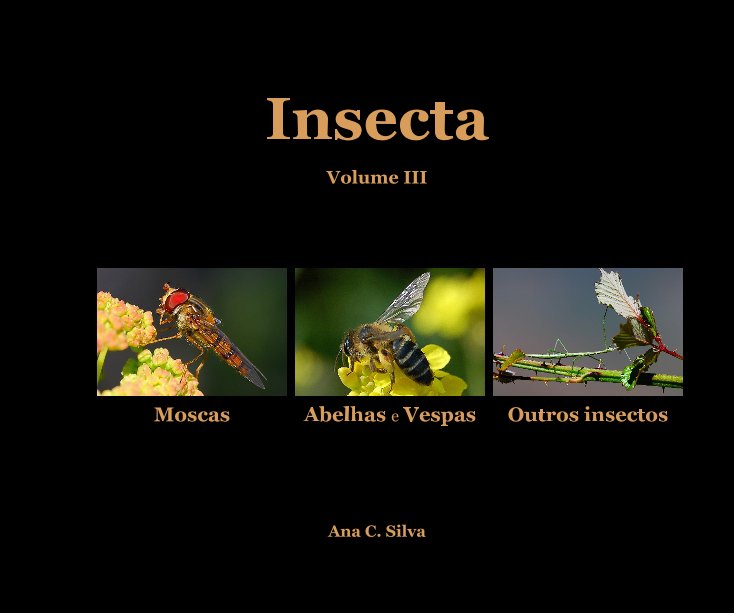 View Insecta by Ana C. Silva