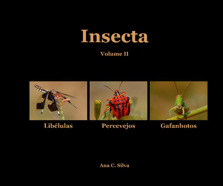 Ver Insecta por Ana C. Silva