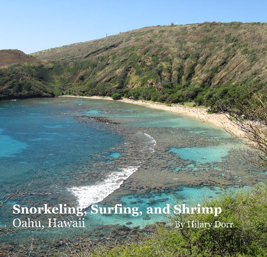 Bekijk Snorkeling, Surfing, and Shrimp Oahu, Hawaii By Hilary Dorr op Oahu, Hawaii By Hilary Dorr