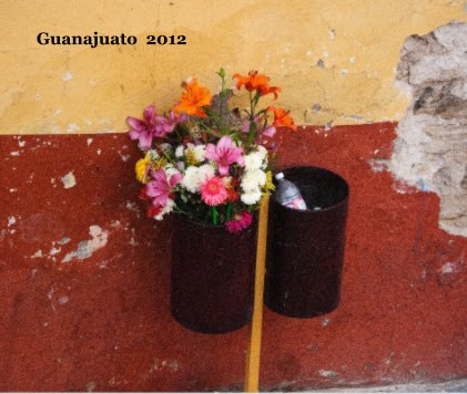Guanajuato 2012 book cover