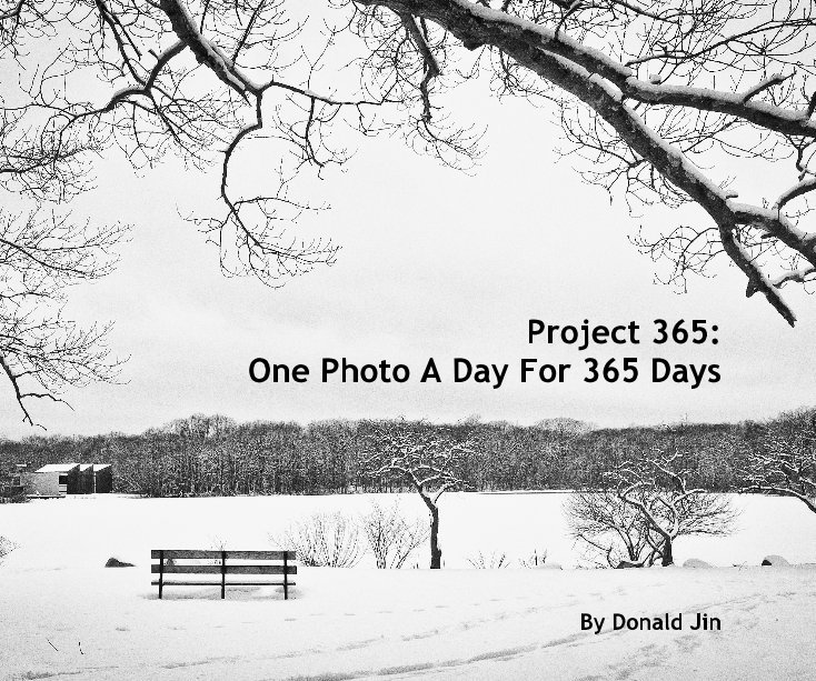 Project 365 One Photo A Day For 365 Days By Donald Jin Blurb Books Uk