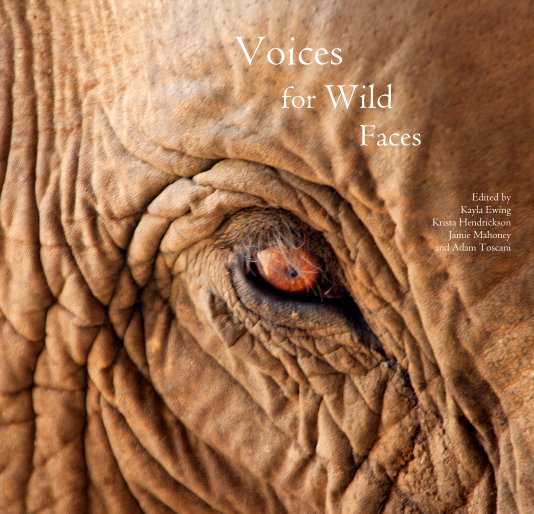 View Voices for Wild Faces by Edited by Kayla Ewing, Krista Hendrickson, Jamie Mahoney, and Adam Toscani