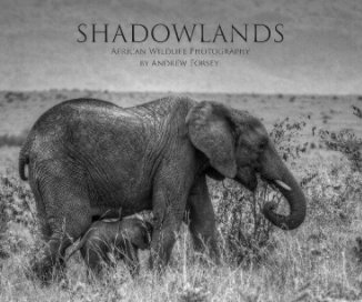 Shadowlands book cover