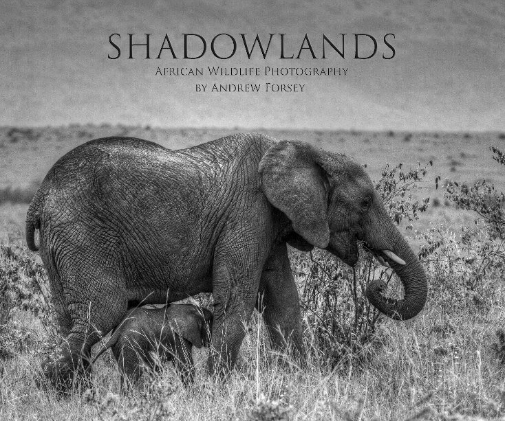 View Shadowlands by Andrew Forsey