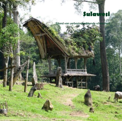 Sulawesi Eiland van verbazingwekkende schoonheid book cover