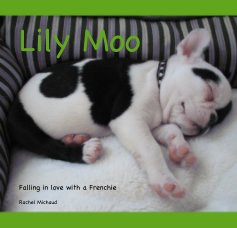 Lily Moo book cover