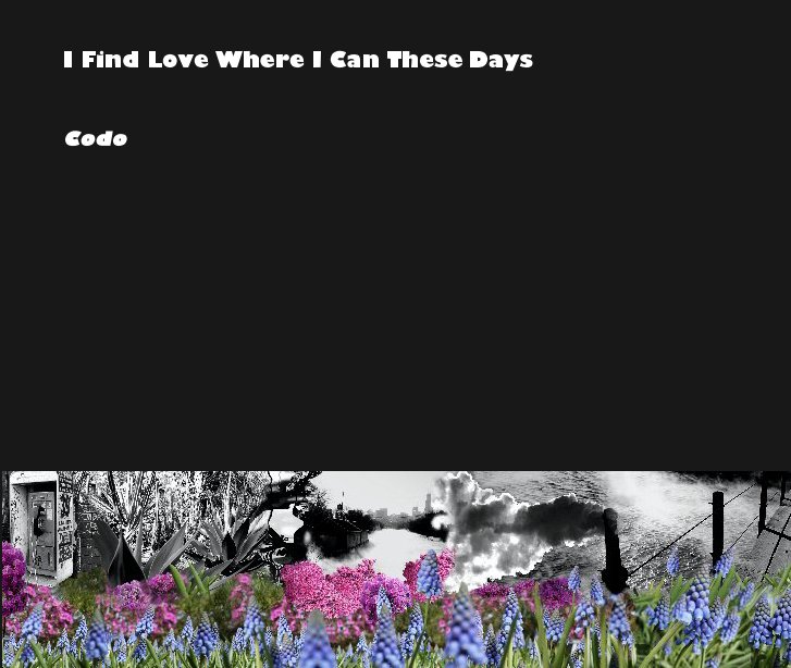 View I Find Love Where I Can These Days by Codo